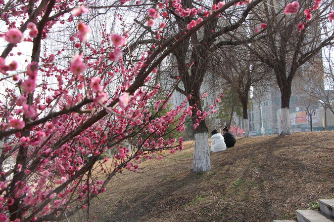 微信图片_20230220101545.jpg